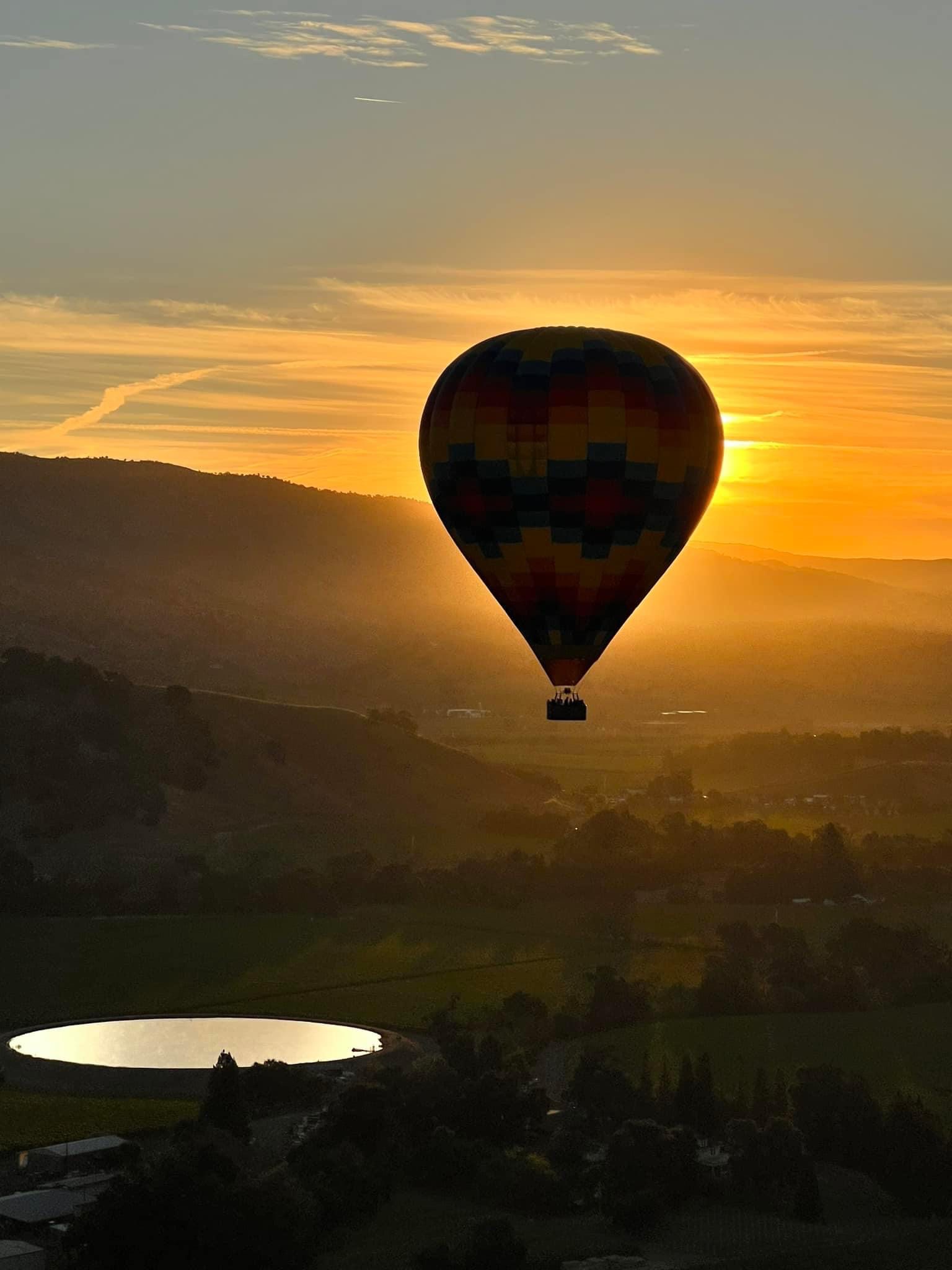 A Local's Guide to Napa Valley: Best Wineries, Hotels & Hidden Gems
